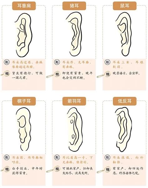 耳相分析|面相耳朵图解【最详细版】 – 杨易德全集官网